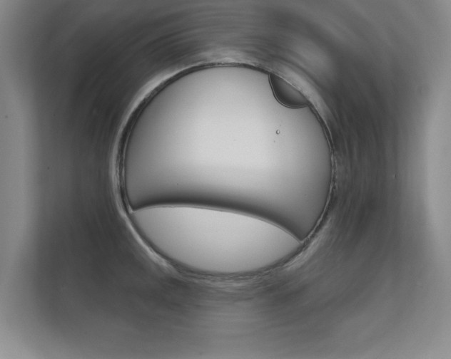 X0000112361141200908131229