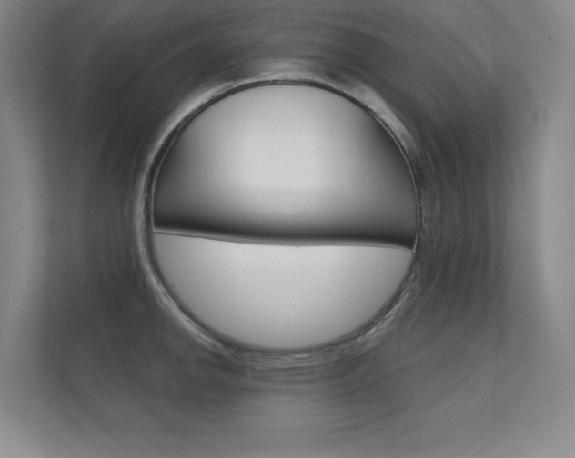 X0000112361142200908131229