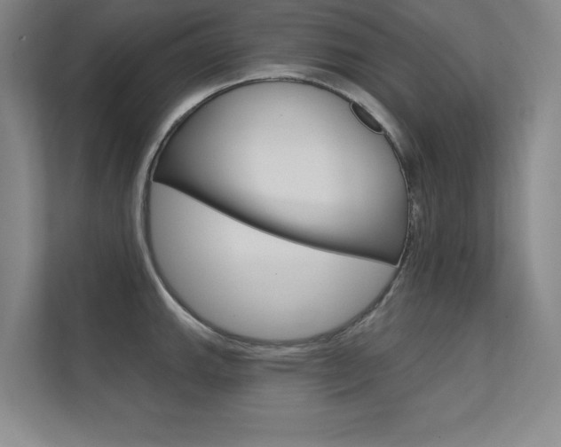 X0000112361143200908131229