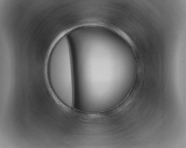 X0000112361144200908131229