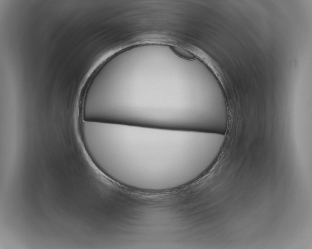 X0000112361147200908131229