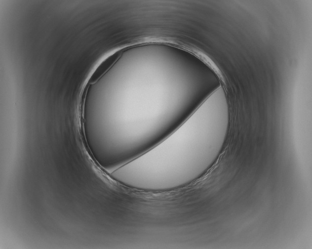 X0000112361148200908131229