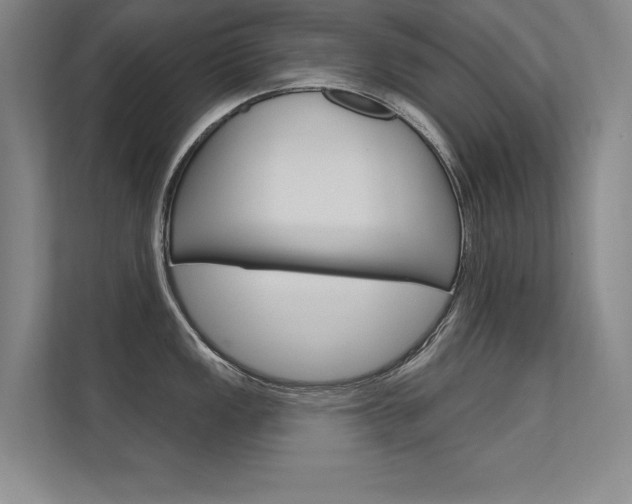 X0000112361149200908131229
