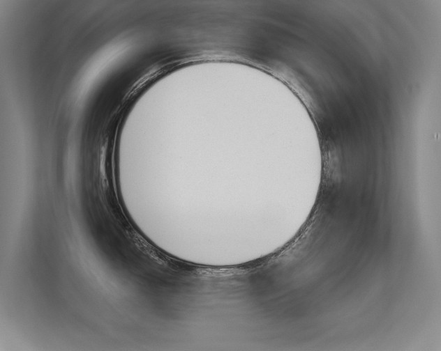 X0000112361150200908131229