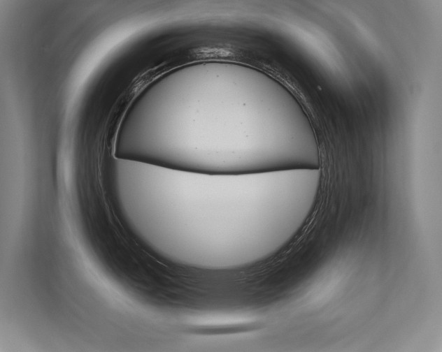 X0000112361151200908131229