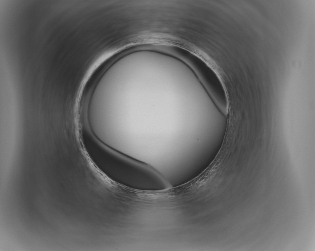 X0000112361152200908131229