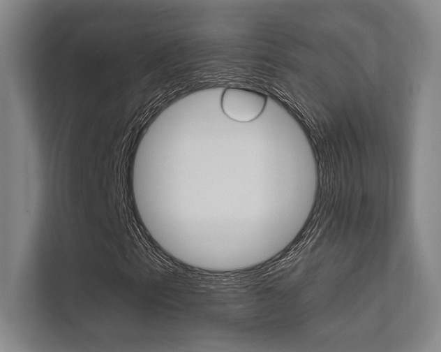 X0000112361153200908131229