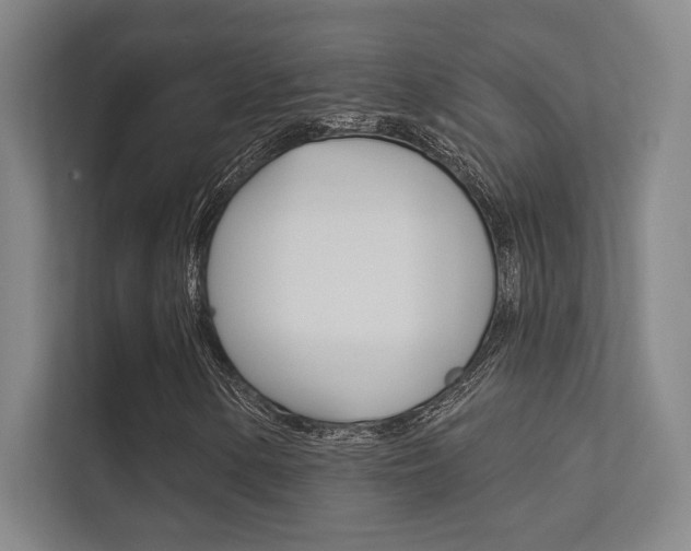 X0000112361154200908131229