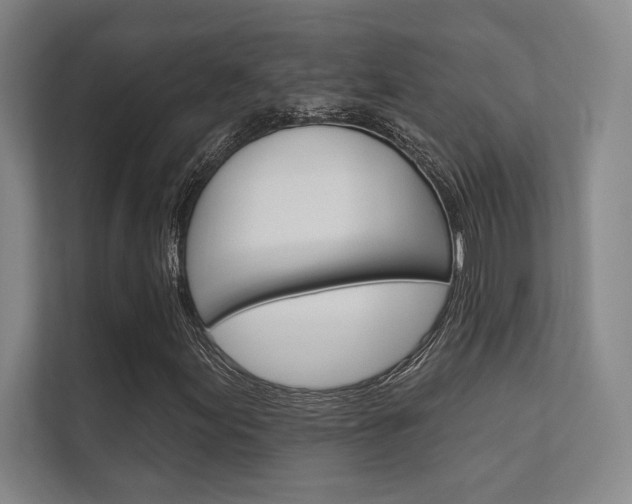 X0000112361155200908131229