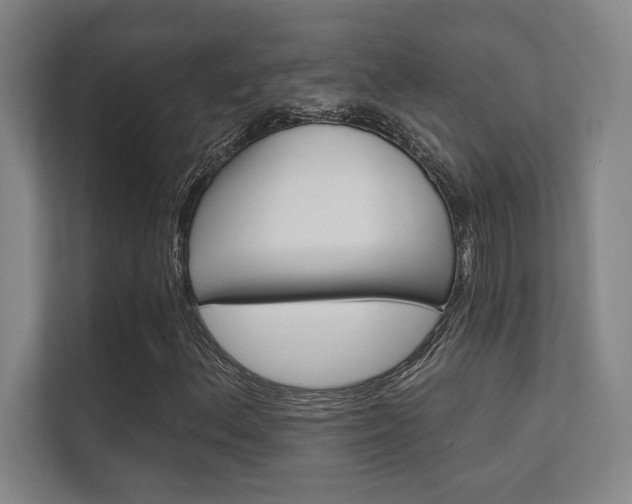X0000112361156200908131229