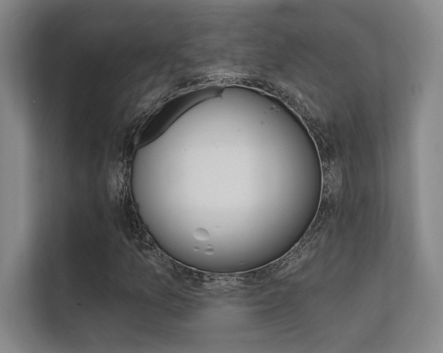 X0000112361157200908131229