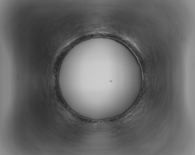 X0000112361159200908131228
