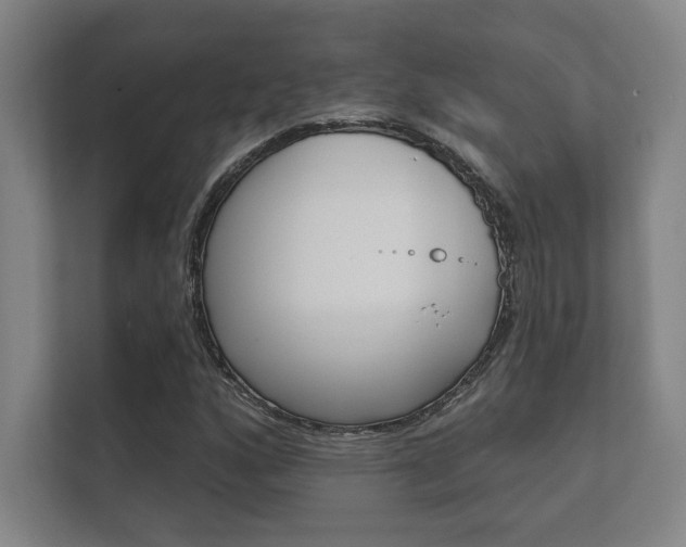 X0000112361160200908131228
