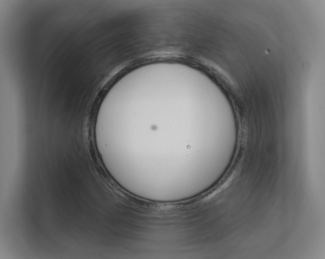 X0000112361162200908131228