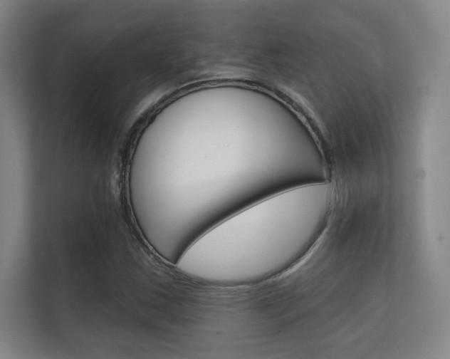 X0000112361163200908131228