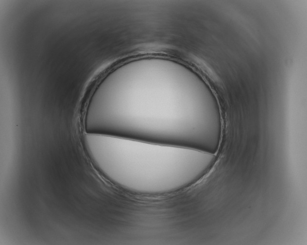 X0000112361164200908131228