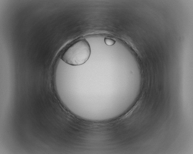 X0000112361165200908131228