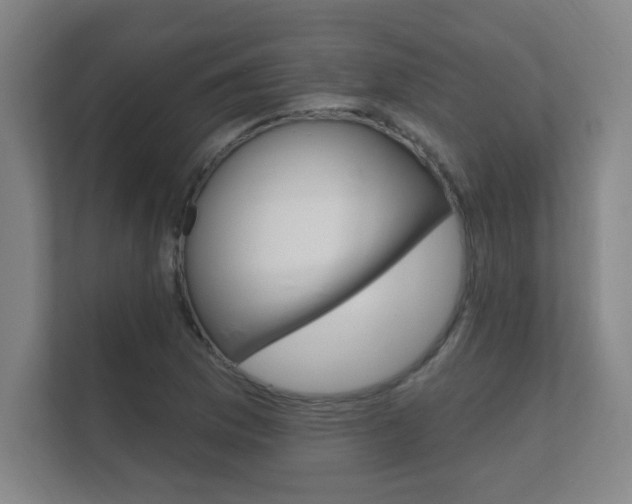 X0000112361169200908131228