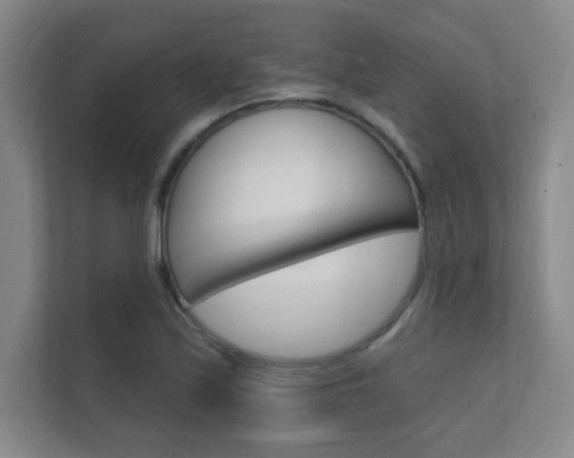 X0000112361171200908131228
