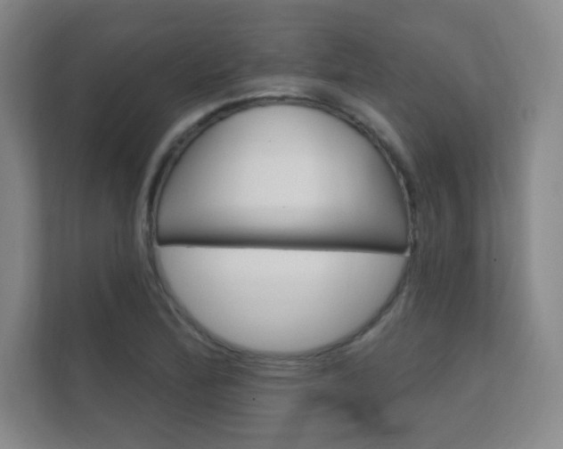 X0000112361172200908131228