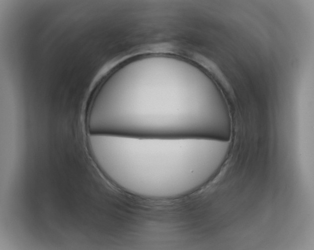 X0000112361176200908131228