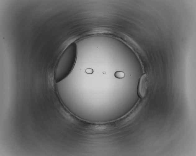 X0000112361177200908131228