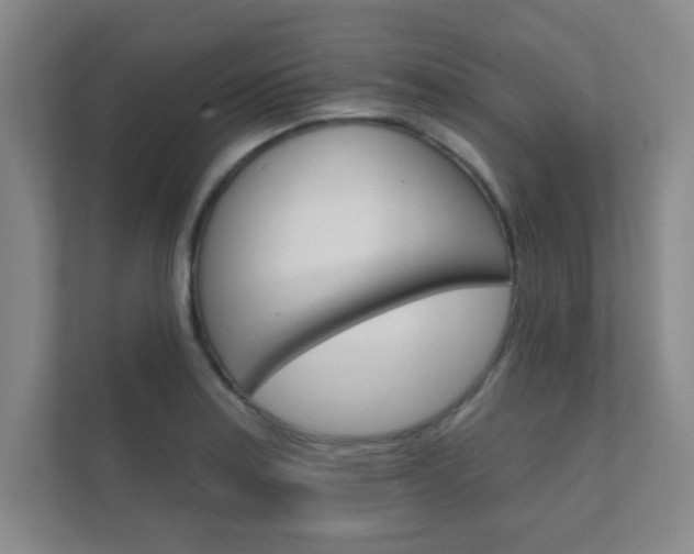 X0000112361179200908131228