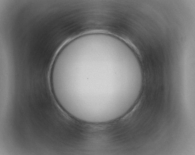 X0000112361181200908131228