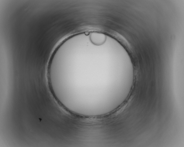 X0000112361182200908131228