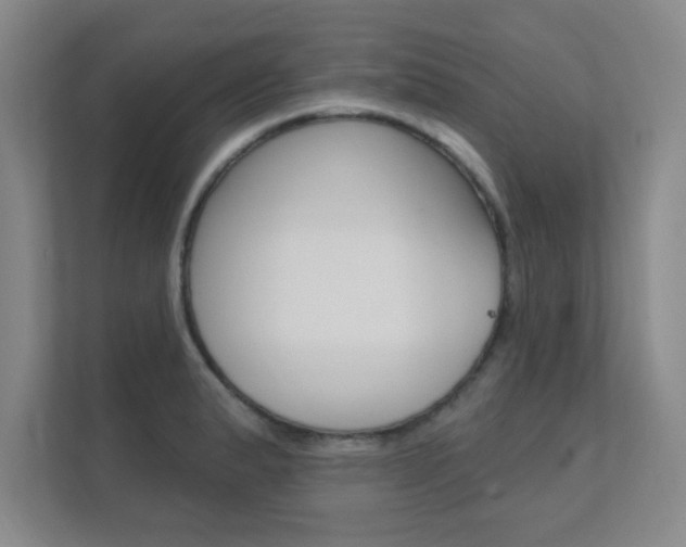 X0000112361183200908131228