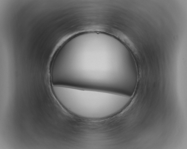X0000112361184200908131228