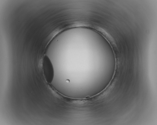 X0000112361185200908131228