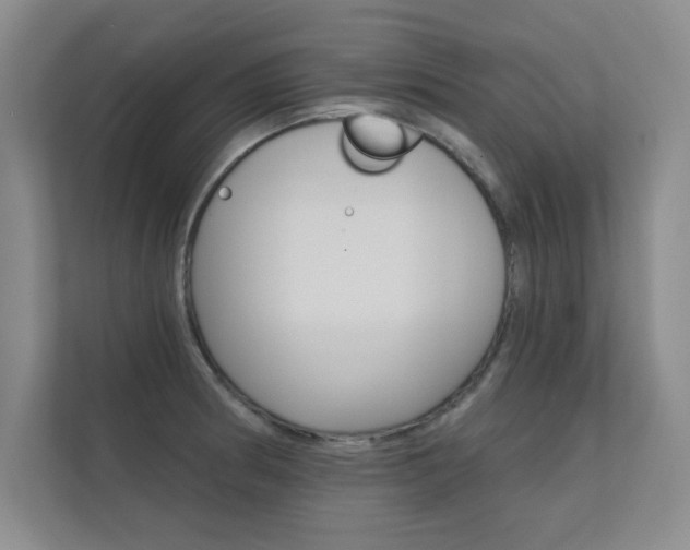 X0000112361186200908131228