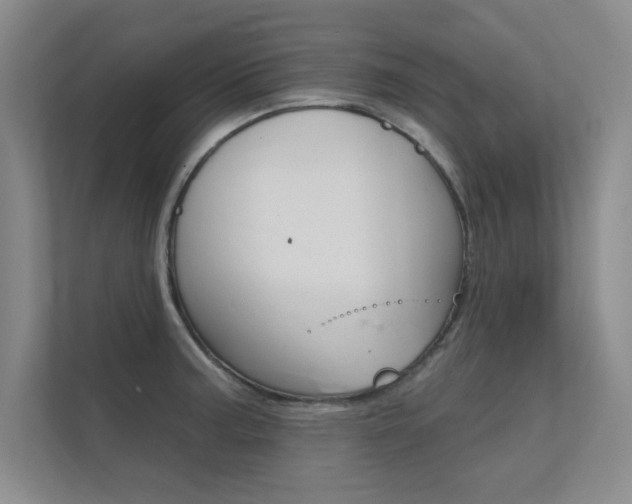 X0000112361187200908131228