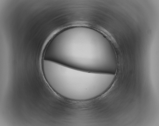 X0000112361188200908131228