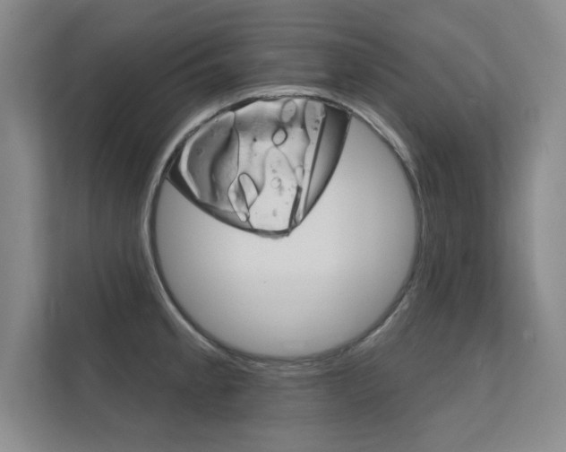 X0000112361189200908131228