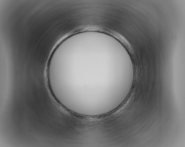 X0000112361190200908131228