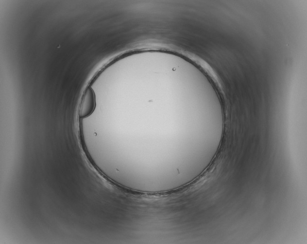 X0000112361191200908131228