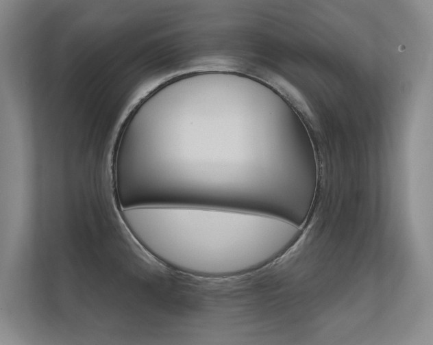 X0000112361192200908131228
