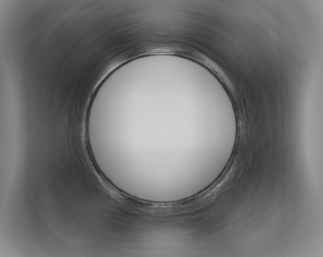 X0000112361194200908131228