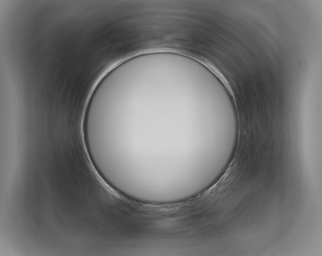 X0000112361197200908131228