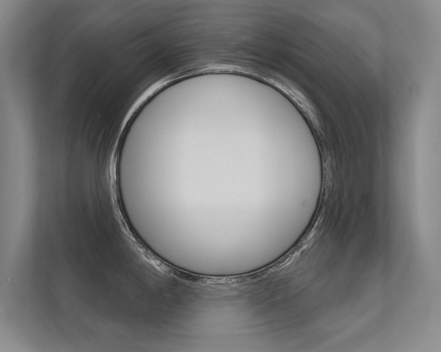 X0000112361198200908131228