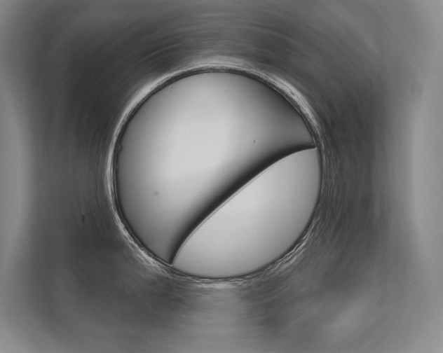 X0000112361199200908131228