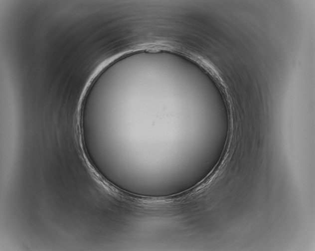 X0000112361200200908131228