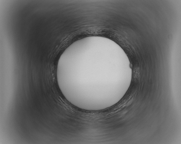 X0000112361202200908131227