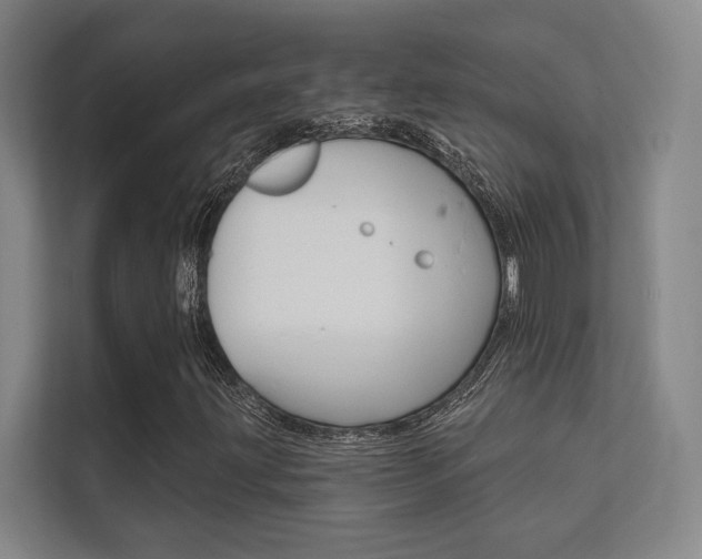 X0000112361203200908131227