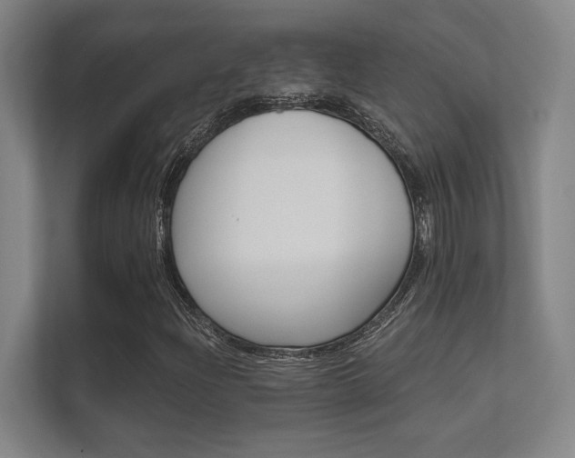 X0000112361204200908131227