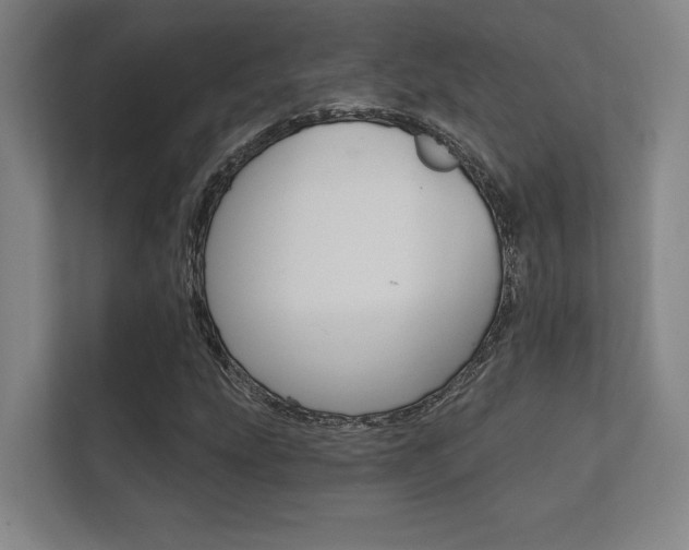 X0000112361207200908131227