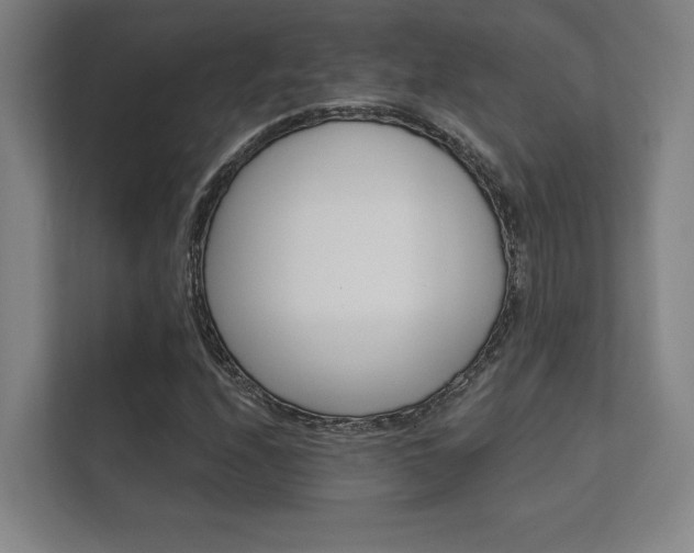 X0000112361208200908131227