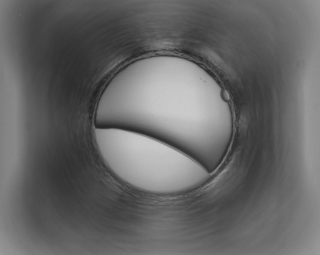 X0000112361209200908131227